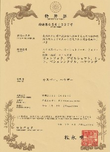 Patentschrift Japan, Japan Patent Synfola GmbH
